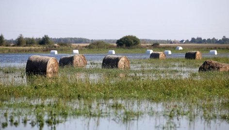 Beveik trisdešimties hektarų ploto Tomo Rutkūno lauke telkšo vandens balos