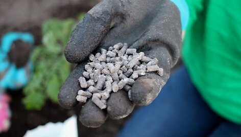 Organinės &bdquo;Baltic agro&ldquo; trą&scaron;os pomidorams 
