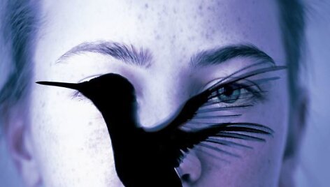 K.Hiekkapelto detektyvas &bdquo;Kolibris&ldquo;