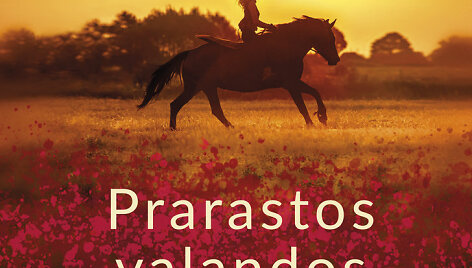 Karen White &bdquo;Prarastos valandos&ldquo;