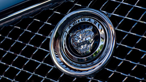 &bdquo;Jaguar&ldquo; ženkliukas