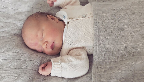 &Scaron;vedijos princas Gabrielis