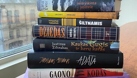 10 lietuvi&scaron;kų knygų, galinčių tapti kino filmais