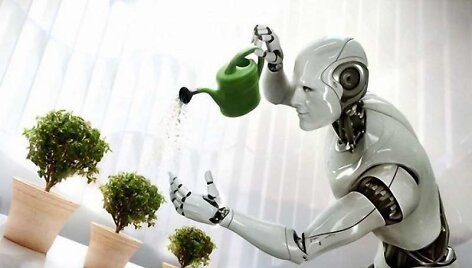 WN robotas asistentas