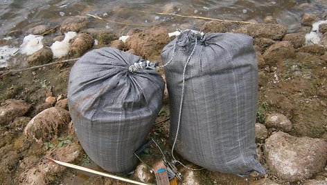 Pagėgių savivaldybėje pasieniečiai sulaikė 50 kg kontrabandinio gintaro, kuris, įtariama, buvo atplukdytas Nemunu iš Rusijos Kaliningrado srities.