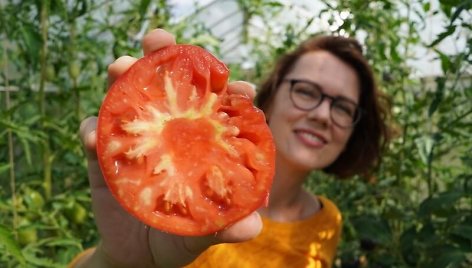 L.Liubertaitė apie 2021-ųjų pomidorų veisles: kas pasiteisino, o ko daugiau neaugintų?