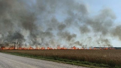 Nuimant derlių Pakruojo rajone kilo gaisras