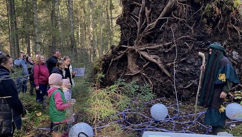Renginys „Miško burtai“ Žemaitijos nacionaliniame parke kvies šeimas su mažais vaikais.