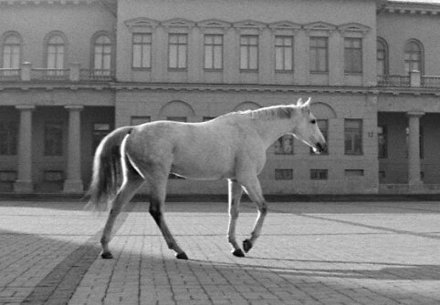 &bdquo;Laikas eina per miestą&ldquo;