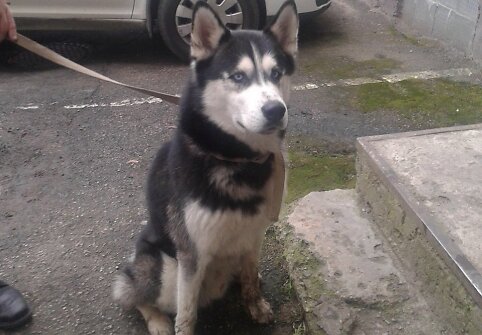 Jonavos rajone rastas &scaron;uo