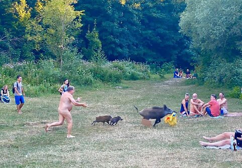 Vokietijoje nudistas vaikėsi jo ne&scaron;iojamąjį kompiuterį nugvelbusią &scaron;ernę