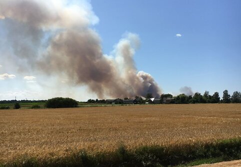 Kauno rajone degė 200 hektarų javų laukas