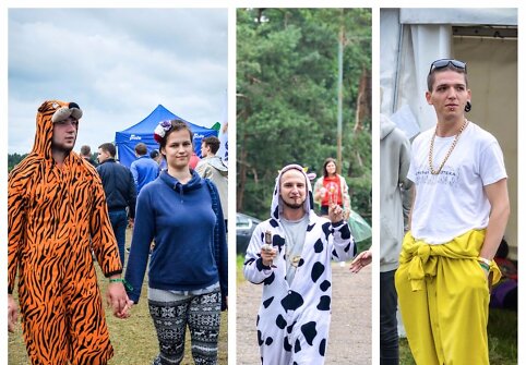 Festivalio &bdquo;Galapagai 2017&ldquo; lankytojų stilius