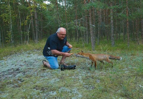 Fotografas Ričardas Anusauskas netoli Nidos susidūrė su lapinu