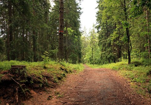 Takas aplink Vilnių