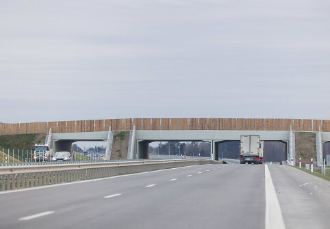 Žvėrių tiltas virš automagistralės A5