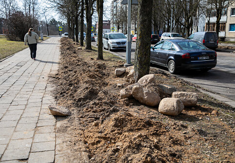 Lazdynuose tvarkant ap&scaron;vietimą pažeistos daugybės medžių &scaron;aknys