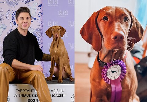 Kenas Katis, kalytė Lulu