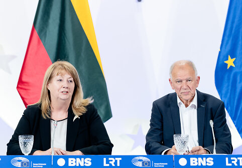Vilija Blinkevičiūtė, Vytenis Andriukaitis