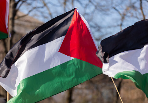 Palestinos palaikymo akcija