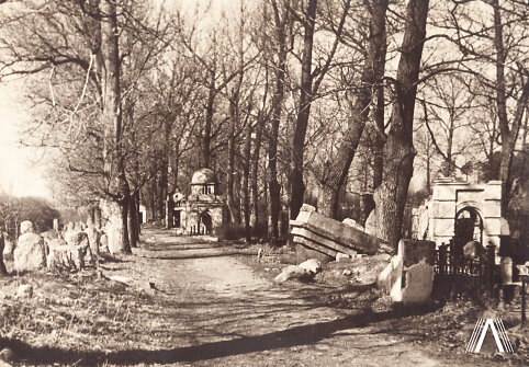 Žydų kapinės Užupyje. Medžiais apsodinta alėja dalina kapines į senąją ir naująją dalį. 1966 m.