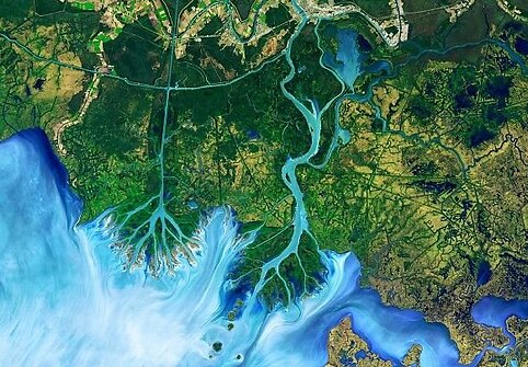 Atčafalijos delta Luizianoje