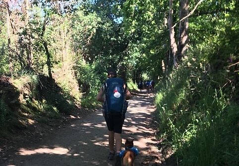 Idos kelionė &bdquo;Camino de Santiago&ldquo; keliu