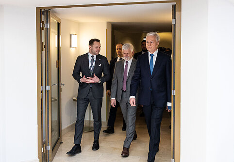 Edvinas Grikšas, Petras Pavelas, Gitanas Nausėda