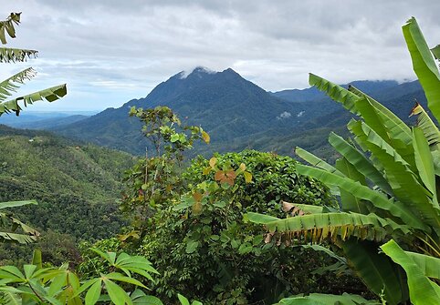 Kinabalu kalnas, Borneo, Malaizija