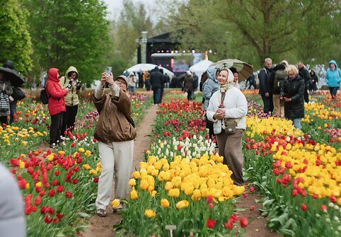 Burbiškio dvaro festivalio „Tulpių žydėjimo šventė“ akimirkos, 2026 m.