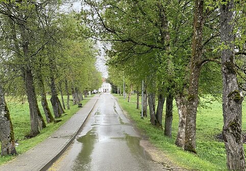 Antazavė, kelias į dvarą