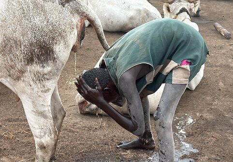 Mundari gentis, Pietų Sudanas
