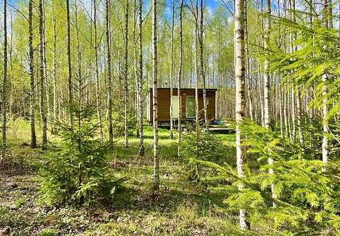 Namelis ant kojelių „Inkilas“
