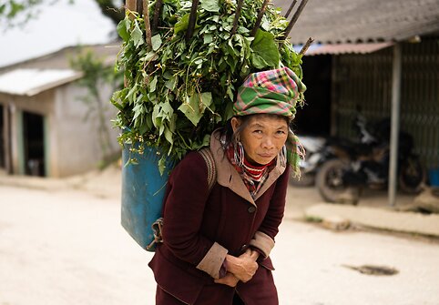 Vietnamas