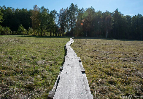 Ilga&scaron;ilio pažintinis takas