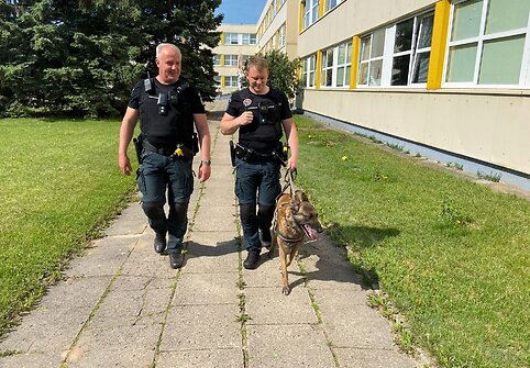 Prevencinė akcija prie Alytaus mokyklų