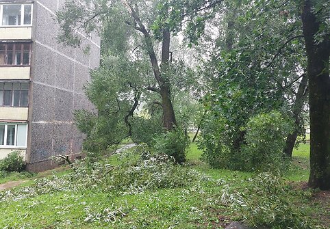 Vilniaus Lazdynų mikrorajone audra pridarė žalos: ant daugiabučio užvirto medis
