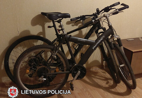 &bdquo;Panther X300&ldquo; dviratis