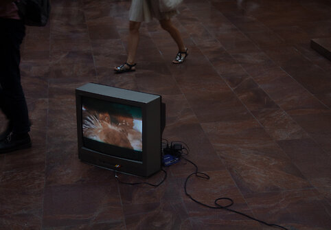 Margaret Rasp&eacute;, &bdquo;O, mirtie, kokia tu dosni&ldquo;, filmas, 1972&ndash;1973 m. 