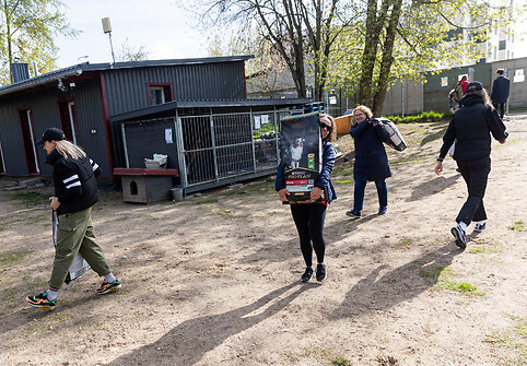 Aukštesnis tikslas suvienija – „Nestlé Baltics“ gyvūnų prieglaudoms paaukos daugiau nei 1,3 tonas maisto