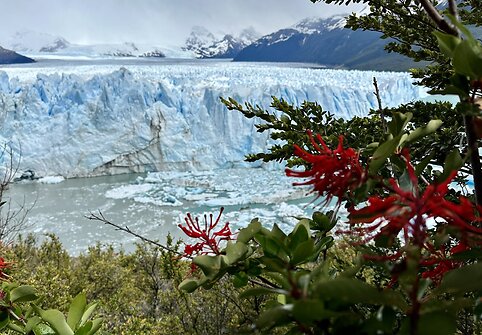Meilė Argentinai – iš pirmo žvilgsnio: užburianti gamta, nepakartojami skoniai ir svaiginantis tango