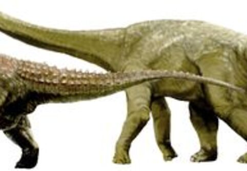 3 naujos dinozaurų rūšys