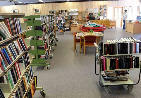 Biblioteka Norvegijos kalnuose, Engerdal komunoje