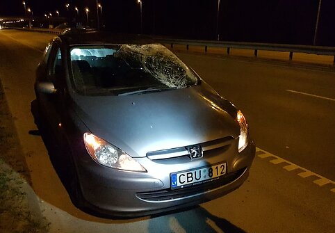 Prie Vilniaus du automobiliai susidūrė su briedžiu.