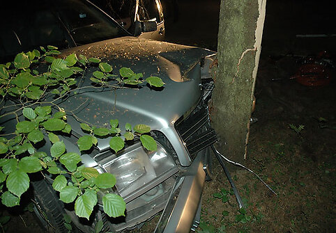 Į medį įsirėžęs automobilis