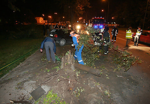 Avarijos vietoje