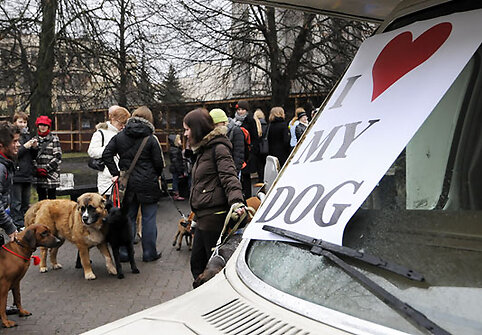 &bdquo;I love my dog&ldquo; (&bdquo;A&scaron; myliu savo &scaron;unį&ldquo;)