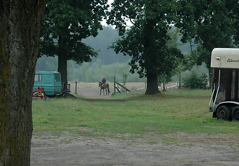 Žirgyne
