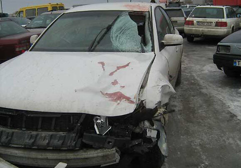 Automobilis po avarijos