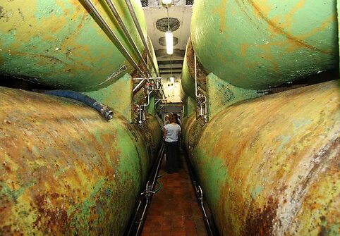 Žaliakalnio kalne įkastuose rūsiuose brandinamas alus. 
